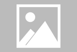 金年会-清晨布鲁克林篮网备战欧联，临场应变细节曝光，质疑声仍在，赛季目标并未改变的简单介绍